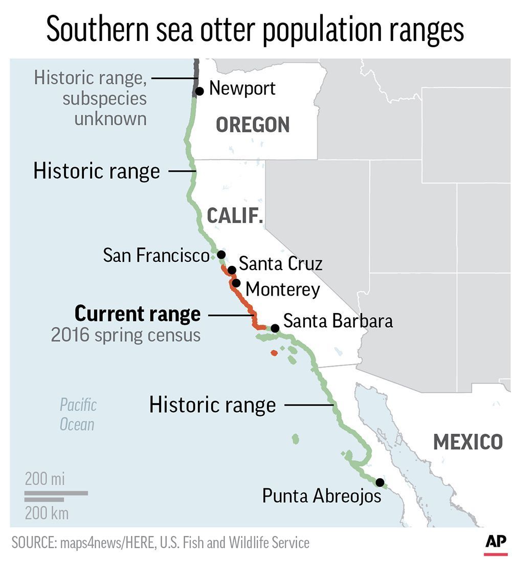 Sea otter range map