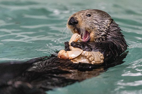 Rosa munching on her lunch